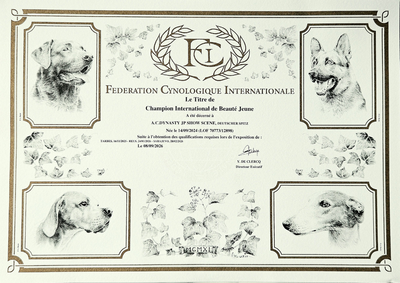 Championne Internationale de Beauté Jeune