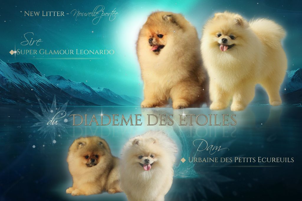 Nous sommes fiers de vous présenter...